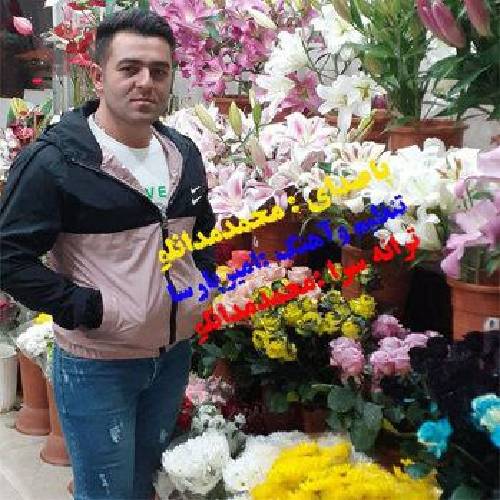 دانلود آهنگ دلبرا محمد مدانلو